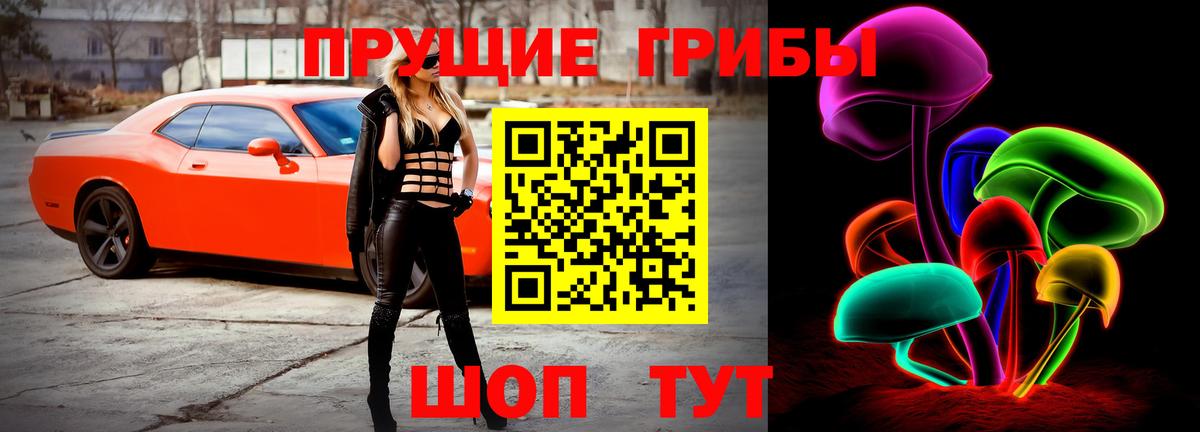 Псилоцибиновые грибы Psilocybe Можайск